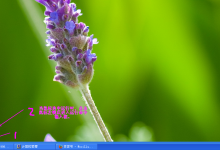 教你如何通过运行命令dxdiag查看电脑详细配置-北方门户